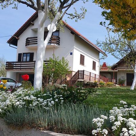 Apartment Ankica Selište Drežničko Extérieur photo