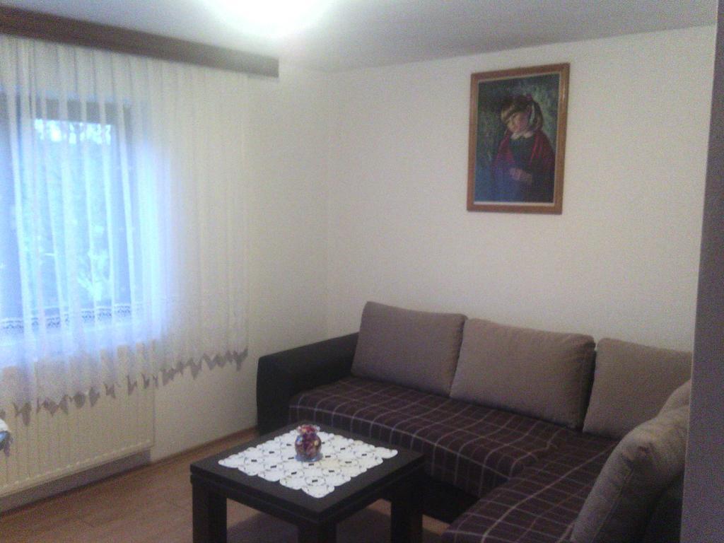 Apartment Ankica Selište Drežničko Chambre photo