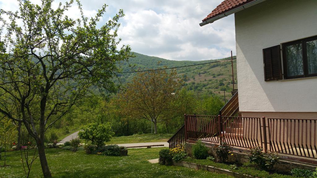 Apartment Ankica Selište Drežničko Extérieur photo