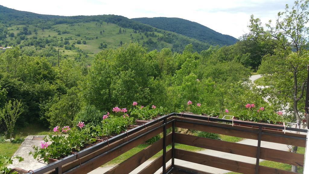 Apartment Ankica Selište Drežničko Extérieur photo