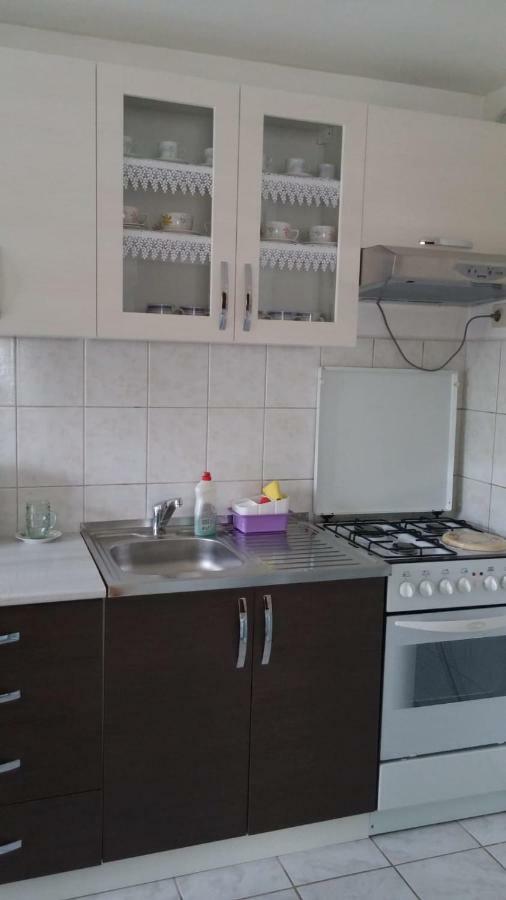 Apartment Ankica Selište Drežničko Extérieur photo