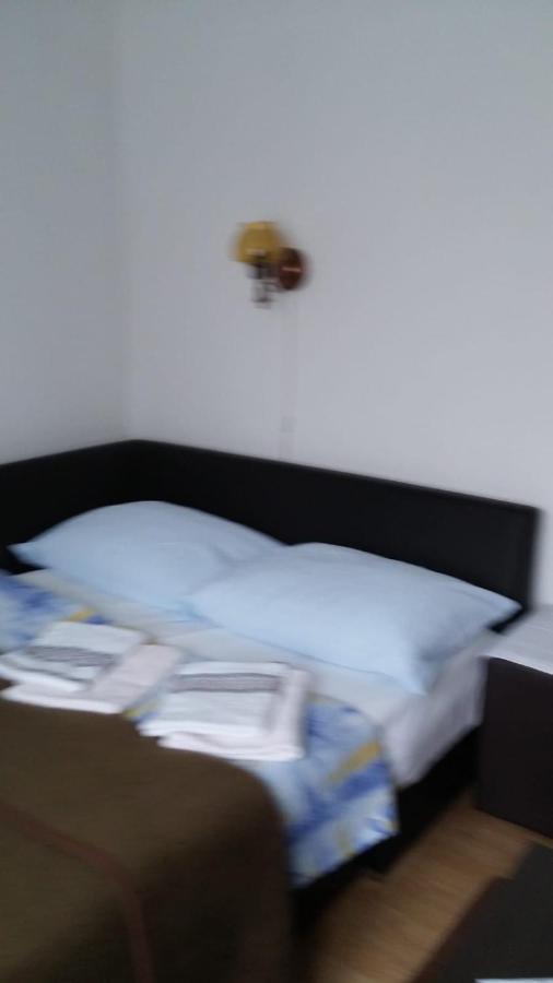 Apartment Ankica Selište Drežničko Extérieur photo