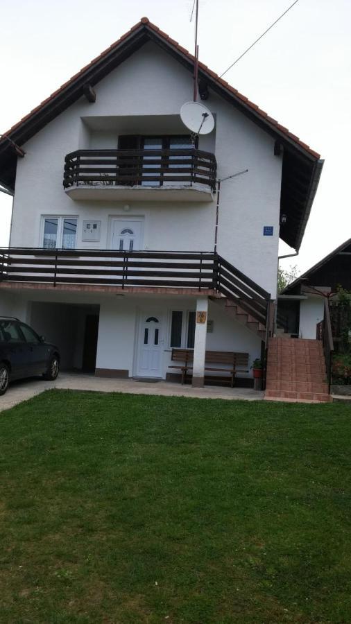 Apartment Ankica Selište Drežničko Extérieur photo